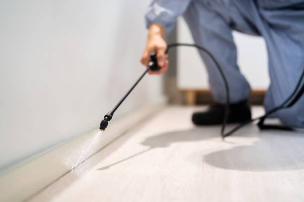 Licensed Termite Control service in Seth Ward, TX - Nex Pest Control