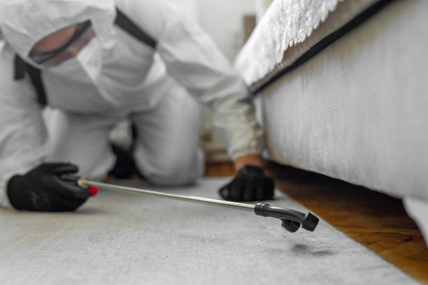 Professional Termite Control technician working in Seth Ward, TX