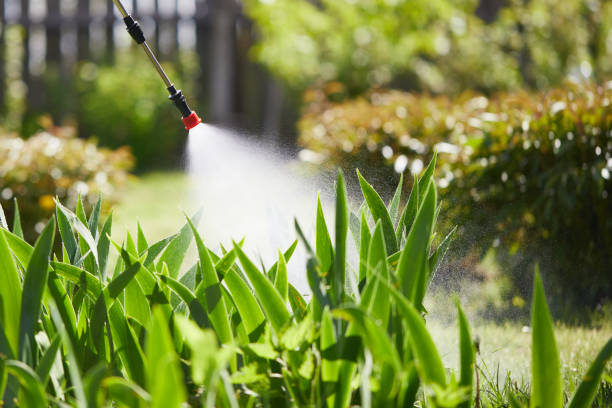 24/7 Emergency Termite Control experts in Seth Ward, TX