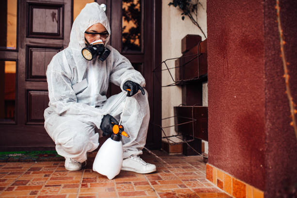 Reliable Termite Control contractor in Seth Ward, TX by Nex Pest Control
