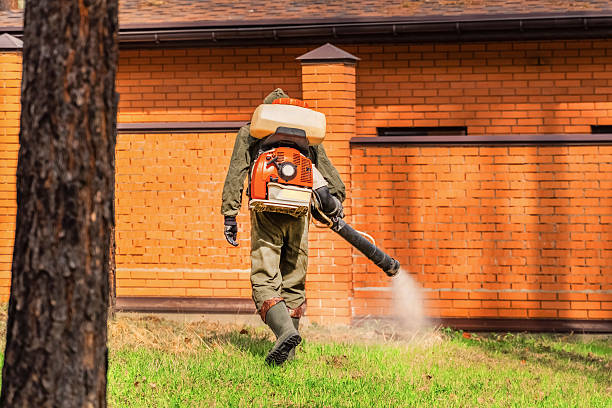 Top rated local Termite Control specialists in Seth Ward, TX